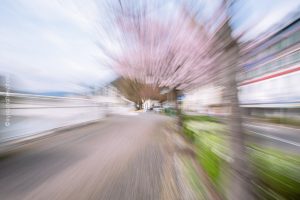 Bad Ems, Kirschbäume Abstrakt