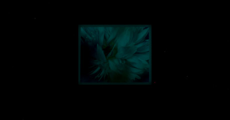 Iryna Mathes, Bild in Nighteck Druck