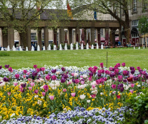 Naturfotografie. Iryna Mathes