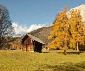 Herbst in Österreich. Fotografie Iryna Mathes