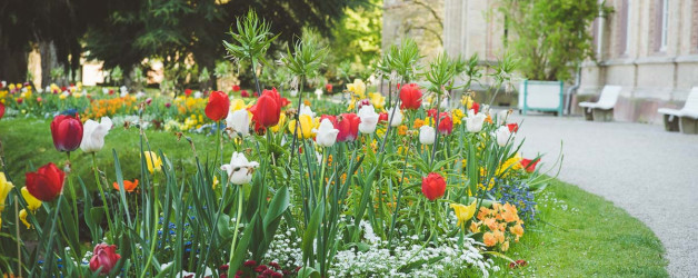 Frühling in Karlsruhe. Iryna Mathes Fotografie, Botanischer Garten