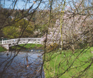 Frühling in Baden-Baden. Moments mit Iryna Mathes