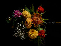 Naturmort. Herbstfarben. Stillleben mit Blumen