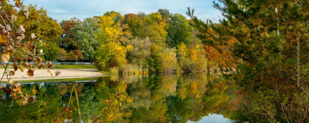 Baggersee Linkenheim an einem Herbsttag. Deutschland, Europa Landschaft