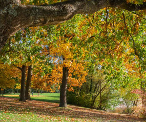 Baggersee Untergrombach-Bruchsal an einem Herbsttag. Deutschland, Europa Landschaft Fotografie