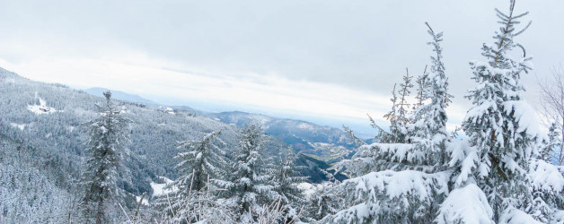 Winterlandschaft. Mummelsee 2020. Natur Fotografie