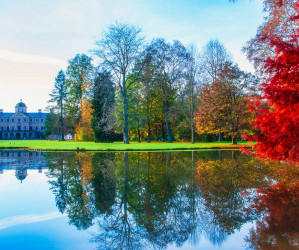 Schloss Favorite, Rastatt, Deutschland. Herbst 2020. Fotografie Iryna Mathes