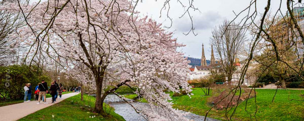 Baden-Baden im Frühling