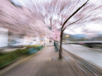 NATUR//ABSTRAKT NATUR//ABSTRAKT